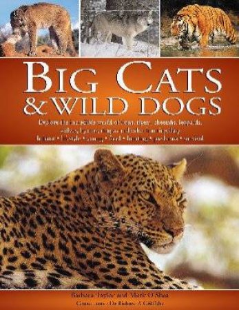 Big Cats & Wild Dogs by Barbara Taylor