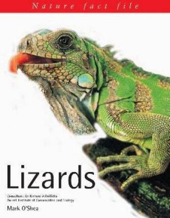 Lizards by Mark O'Shea