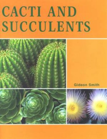 Cacti And Succulents by Gideon F Smith