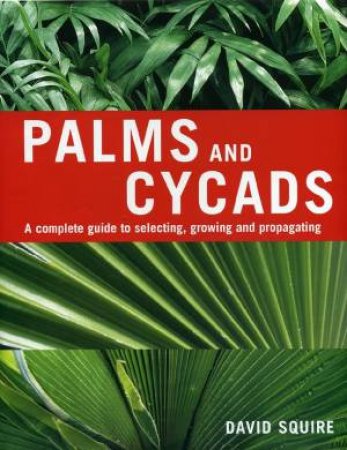 Palms And Cycads by David Squire