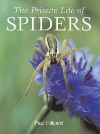 Private Life of Spiders by Paul Hillyard