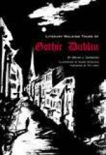 Literary History of Gothic Dublin