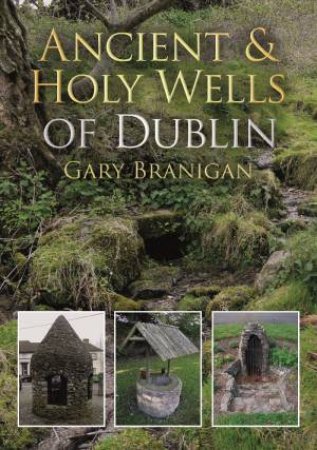 Ancient and Holy Wells of Dublin by Gary Branigan