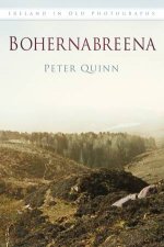 Bohernabreena In Old Photographs