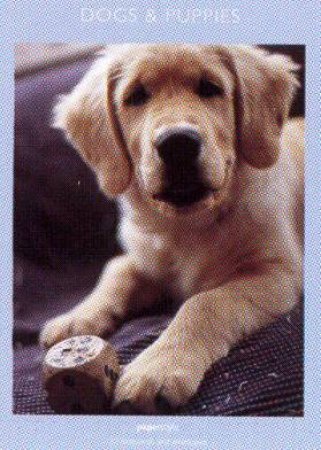 Notecards: Dogs & Puppies by Unknown