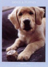 Notecards Dogs  Puppies