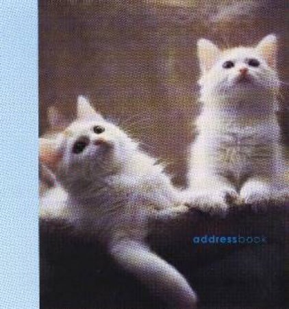 Large Address Book: Cats & Kittens by Unknown