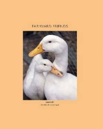 Farmyard Friends Notecards by Ryland Peters & Small