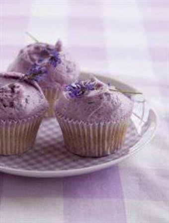 Hummingbird Mini Notebook: Lavender Cupcakes by Various