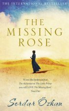 The Missing Rose