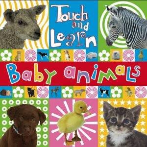 Baby Animals by Various