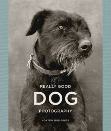 Really Good Dog Photography by Hoxton Mini Press