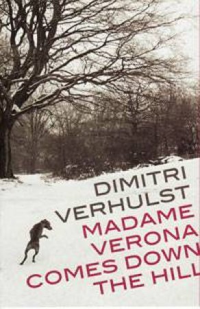 Madame Verona Comes Down the Hill by Dimitri Verhulst