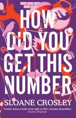 How Did You Get This Number by Sloane Crosley