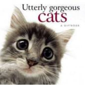 Utterly Gorgeous Cats: A Giftbook by Various