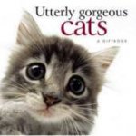 Utterly Gorgeous Cats A Giftbook