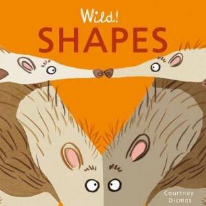 Wild! Concepts: Shapes by Courtney Dicmas