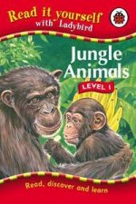 Jungle Animals