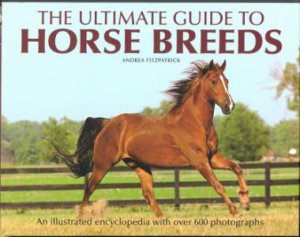 The Ultimate Guide to Horse Breeds by Various