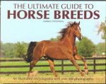 The Ultimate Guide to Horse Breeds