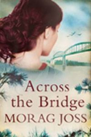 Across the Bridge by Morag Joss