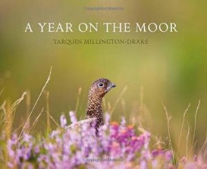 Year on the Moor by TARQUIN MILLINGTON-DRAKE