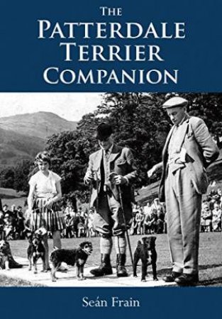 Patterdale Terrier Companion by FRAIN SEAN