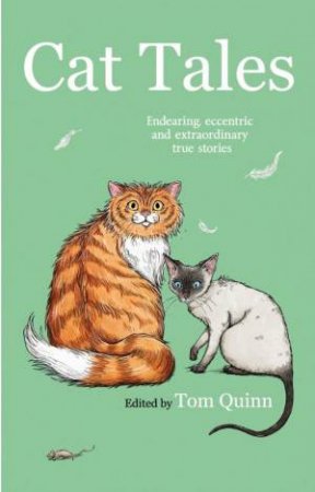 Cat Tales by QUINN TOM