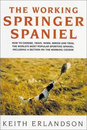 Working Springer Spaniel by KEITH ERLANDSON