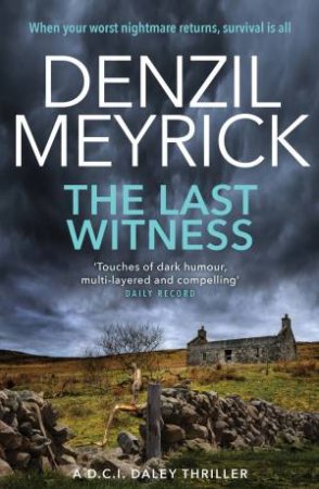 The Last Witness by Denzil Meyrick