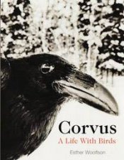 Corvus