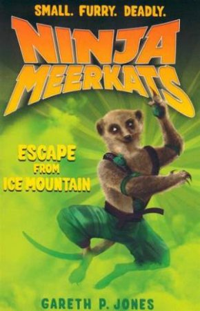 the Escape from Ice Mountain