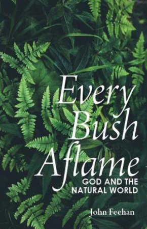 Every Bush Aflame by John Feehan