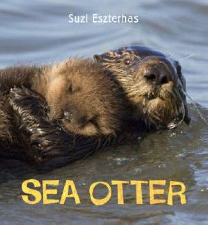 Eye on the Wild: Sea Otter by Suzi Eszterhas