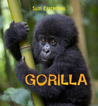 Eye on the Wild Gorilla by Suzi Eszterhas