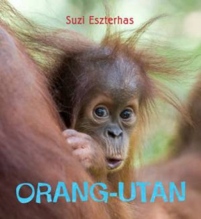 Eye on the Wild: Orangutan by Suzi Eszterhas