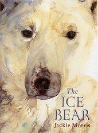 The Ice Bear by Jackie Morris