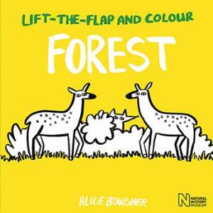 Lift-the-flap And Colour Forest by Alice Bowsher & Natural History Museum