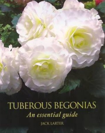 Tuberous Begonias: an Essential Guide by LARTER JACK