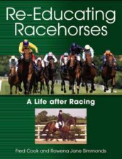 Reeducating Racehorses A Life After Racing