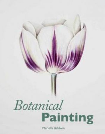 Botanical Painting by BALDWIN MARIELLA