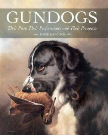 Gundogs by David Hancock