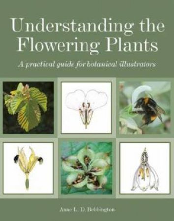 Understanding the Flowering Plants by BEBBINGTON ANNE