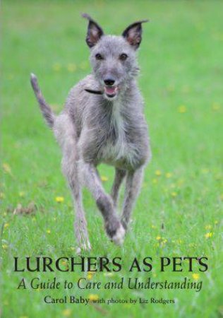 Lurchers as Pets: A Guide to Care and Understanding by BABY CAROL