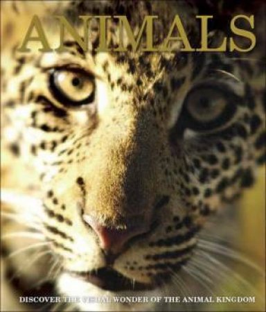 Animals by Various