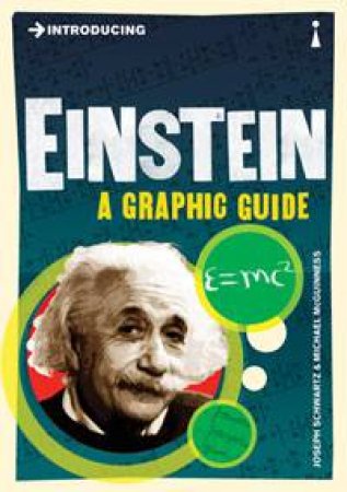 Introducing Einstein by Joseph Schwartz & Michael McGuiness