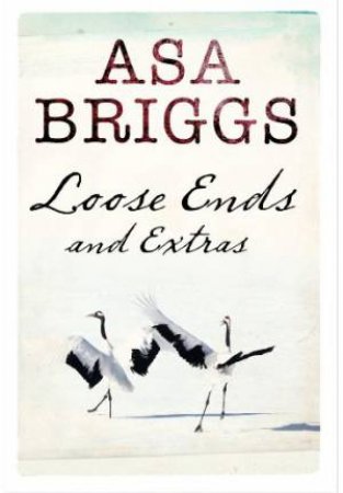 Loose Ends and Extras by BRIGGS ASA