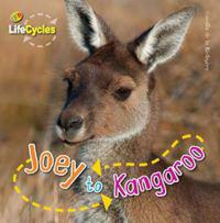 Lifecycles: Joey to Kangaroo by Camilla de la Bedoyere