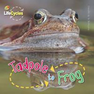 Lifecycles: Tadpole to Frog by Camilla de la Bedoyere