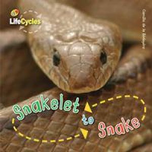 Life Cycles: Snakelet to Snake by Camilla De la Bedoyere